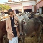 गोवंश के साथ सुदेवी दासी (फाइल फोटो)