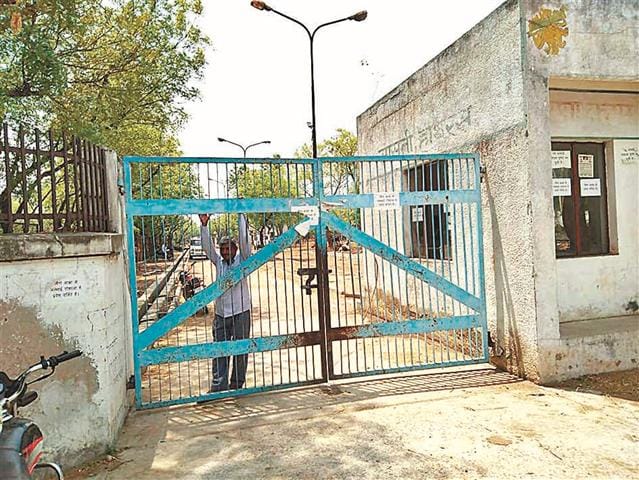 Disagreements expressed on the decline of cattle