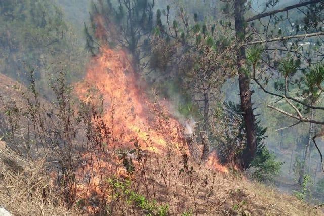 Jaglal fires reached the villages near Tehsil and Baghnines
