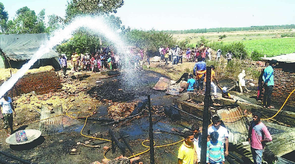 Four cattle and 250 doves were burnt alive by fire