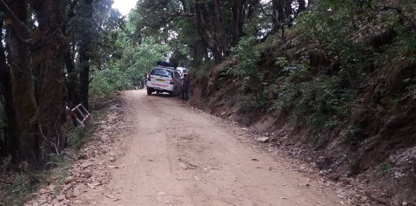 Nature imitates but the road rolls