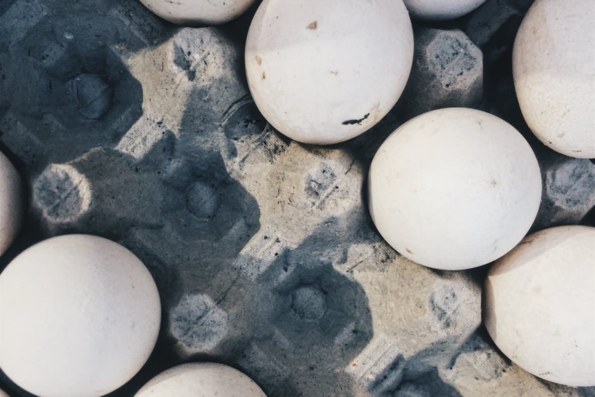 woman staffer allegedly stripped and pour hot khichdi four year old boy who asked for an extra egg