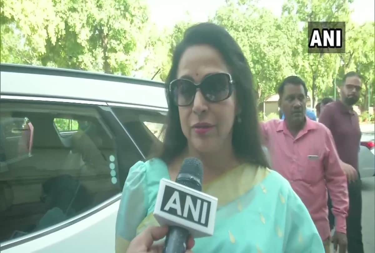 bollywood celebrities reaction after win and lost Lok Sabha elections 2019