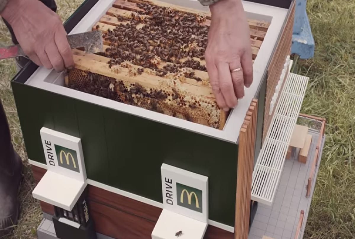 McDonalds opens Worlds smallest restaurant for bees in Sweden
