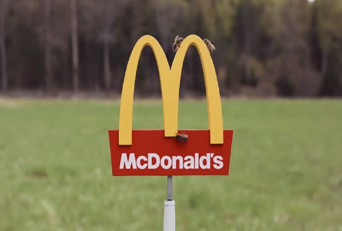 McDonalds opens Worlds smallest restaurant for bees in Sweden