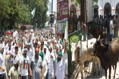 Bhakiyu supporters demonstration on  collectorate in Bijnor
