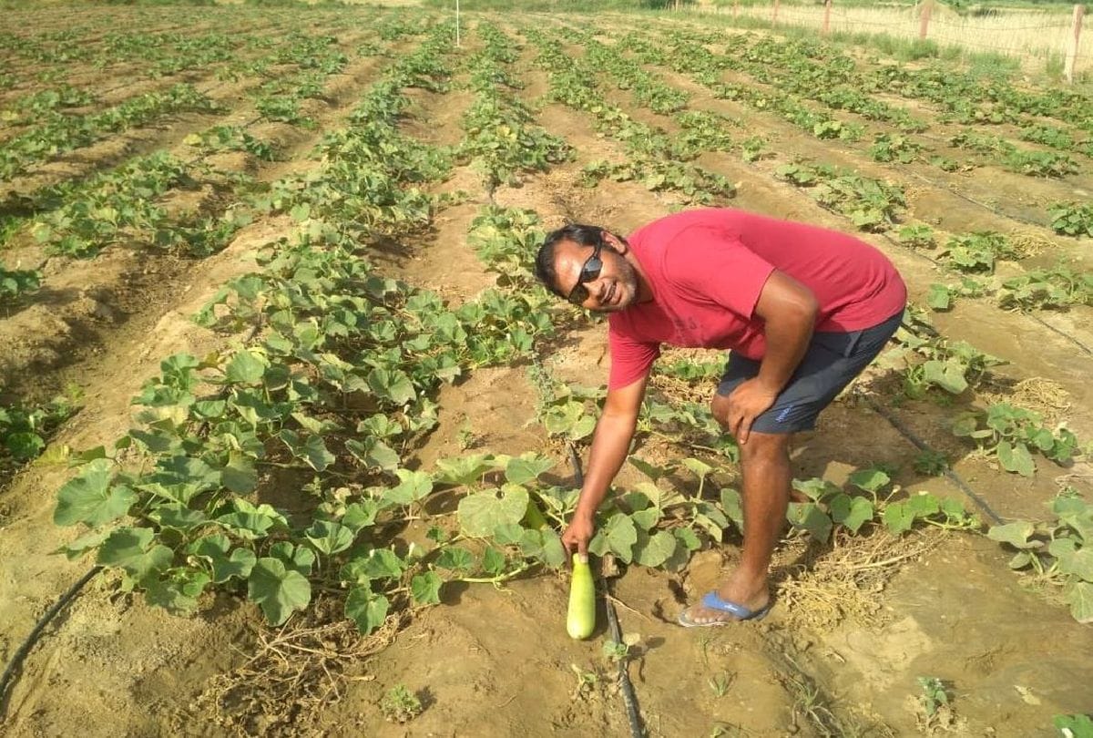 Fatehpur Sikri's vinod kumar left job for farming