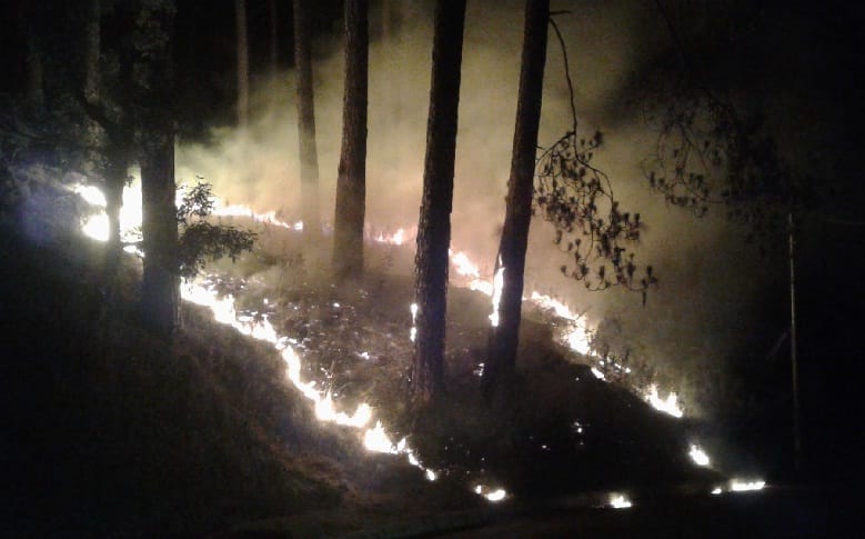Burning fire in Kalika's forest