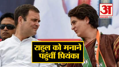 priyanka gandhi reached rahul gandhi's house for meeting and top 5 news