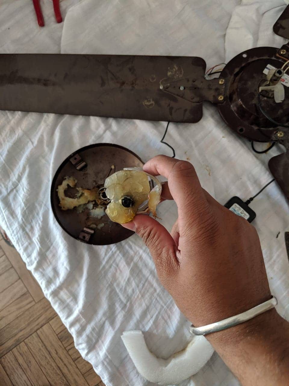 hidden camera found in a hotel ceiling fan