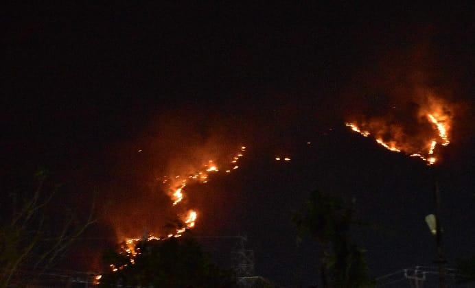 Jungle adjacent to Rampur road burnt to death