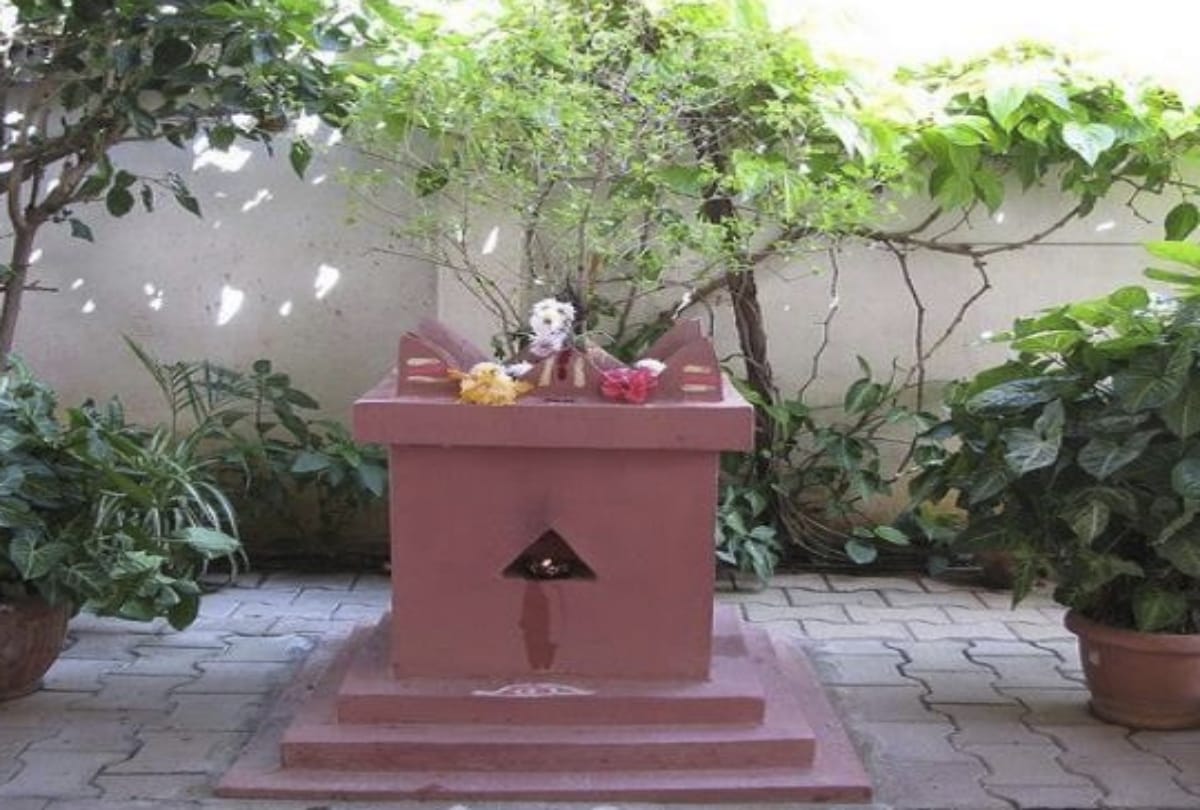 Rules for breaking basil leaves and worshiping