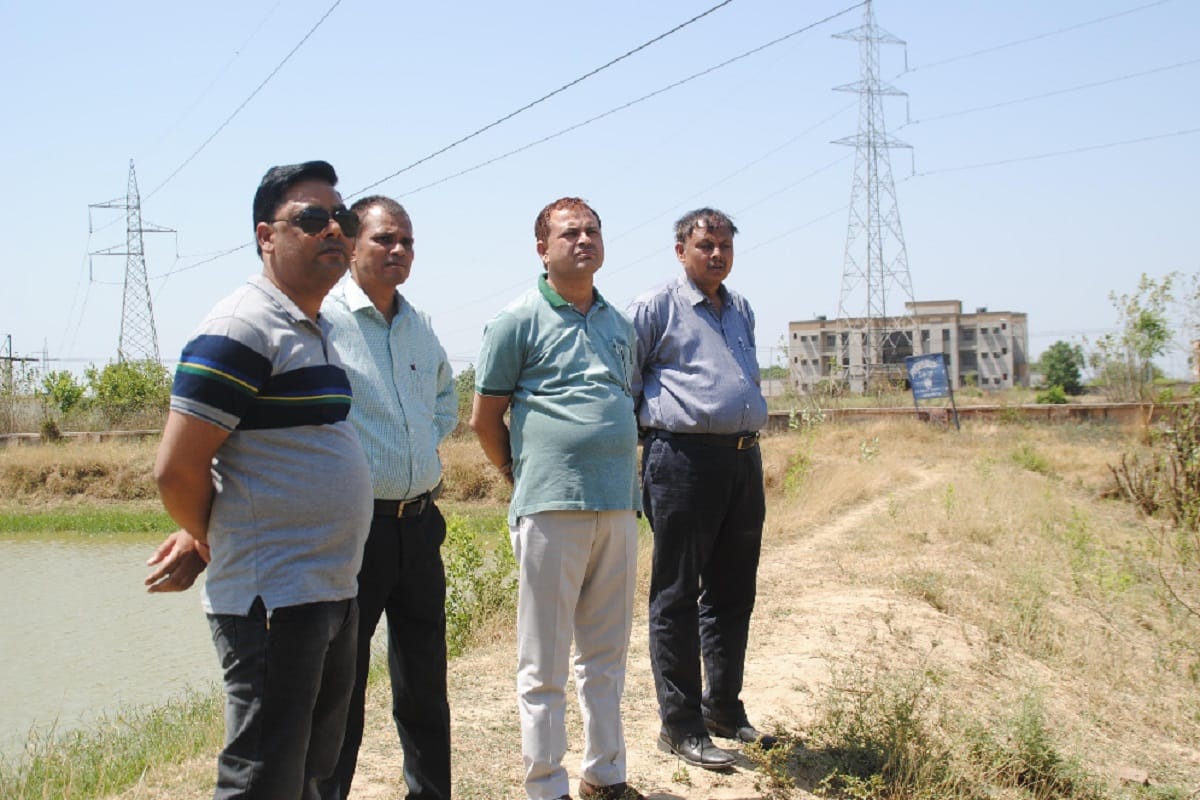 200 fishes died after electric current in pond at Meerut