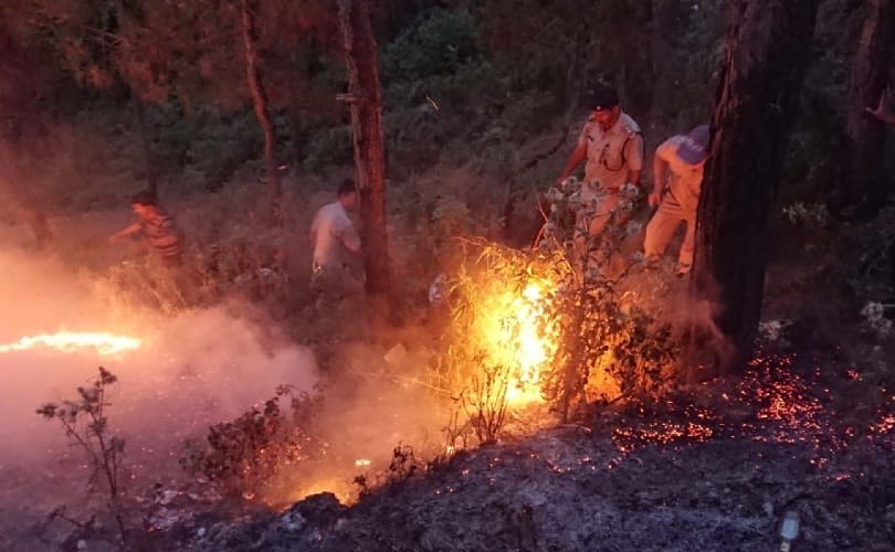 13-hectare forest fire in Champawat area