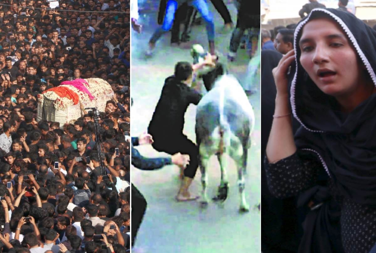 bull entered in procession of ramadan, many injured in lucknow