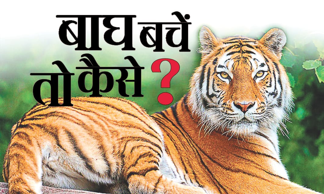 During the capture, the death of the tigress, the officer spoke