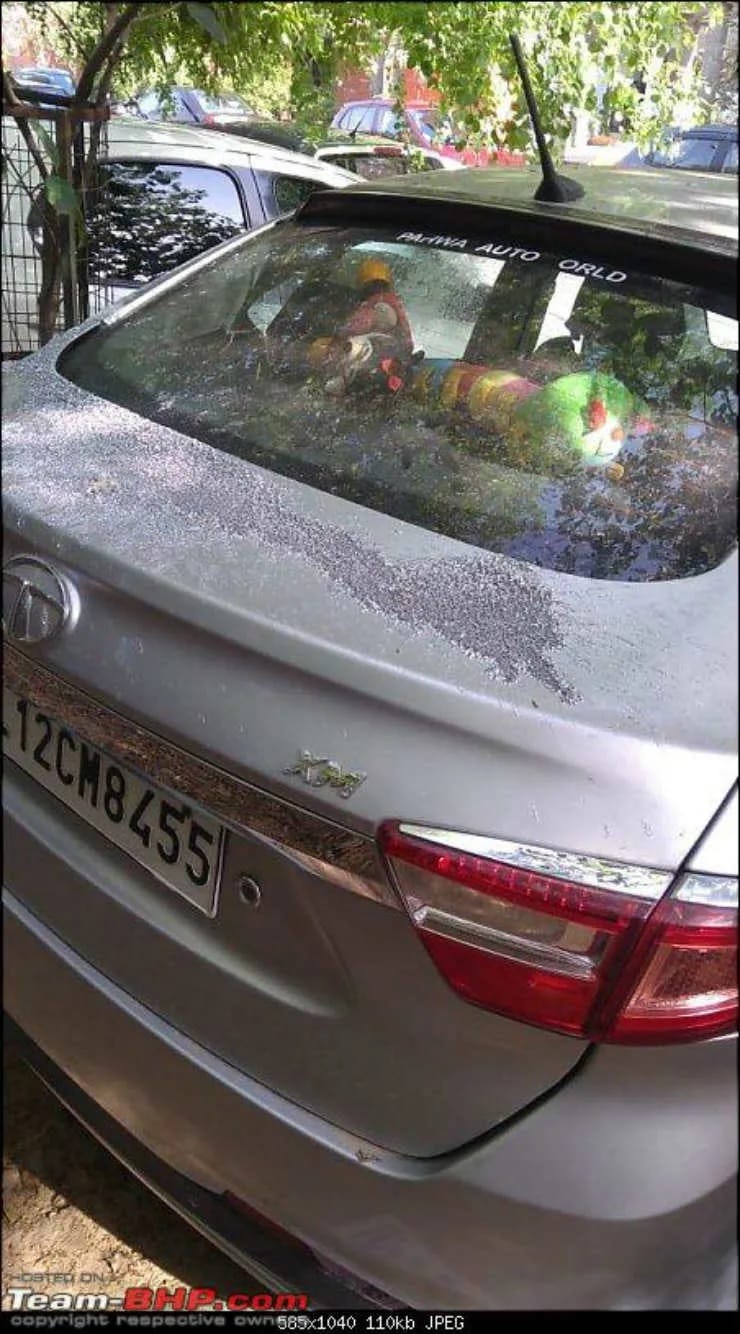 new trends emerging in car vandalism in India, throwing acid attacks on cars in delhi