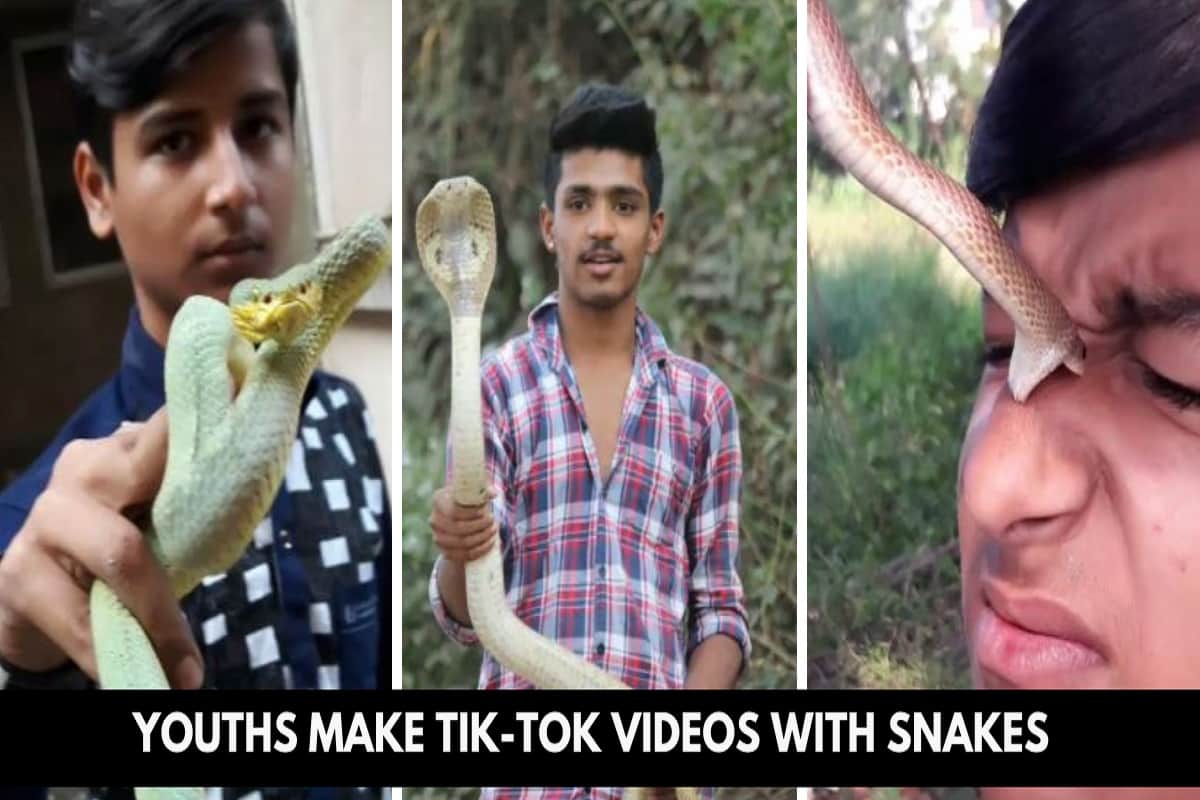 Two arrested for making Tik-Tok videos with snakes in Mumbai, know details