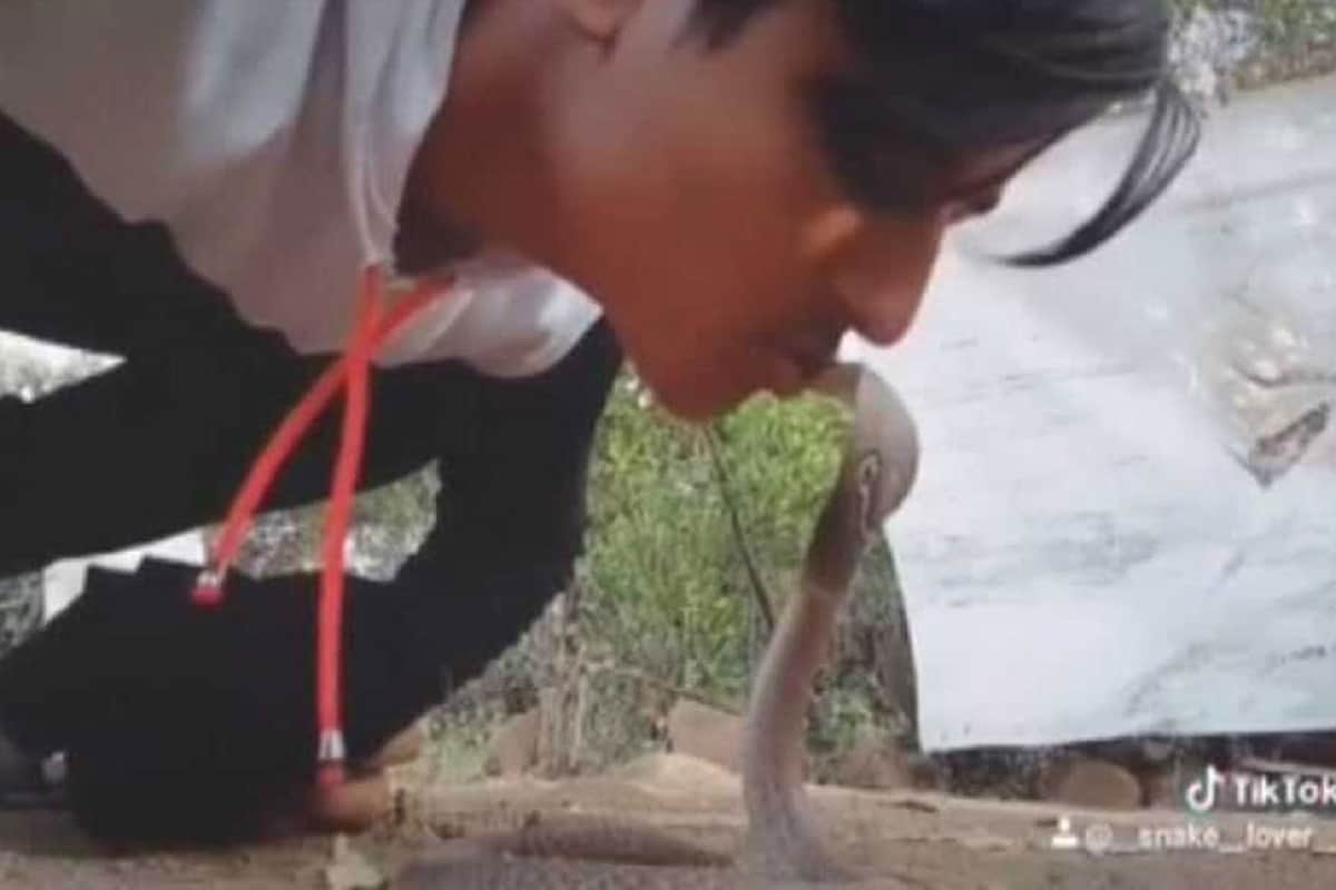 Two arrested for making Tik-Tok videos with snakes in Mumbai, know details