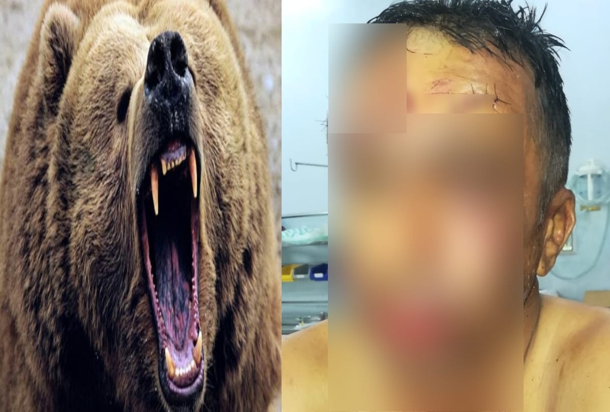 This man 50 years old fight up with a dreaded bear for 10 minutes shimla