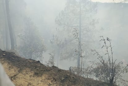 Bike and scooter reduced to ashes in forest fire mandi himachal