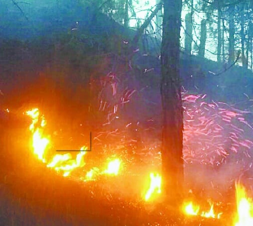 Forest fire in Tilon populated area