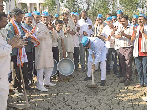 More rain than Punjab-Haryana, yet the water lily