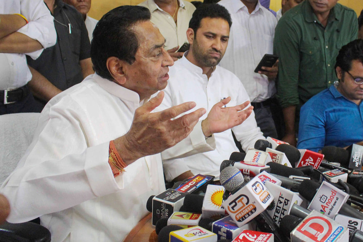 Bat become tension for MP Electricity, Kamalnath Government find solution