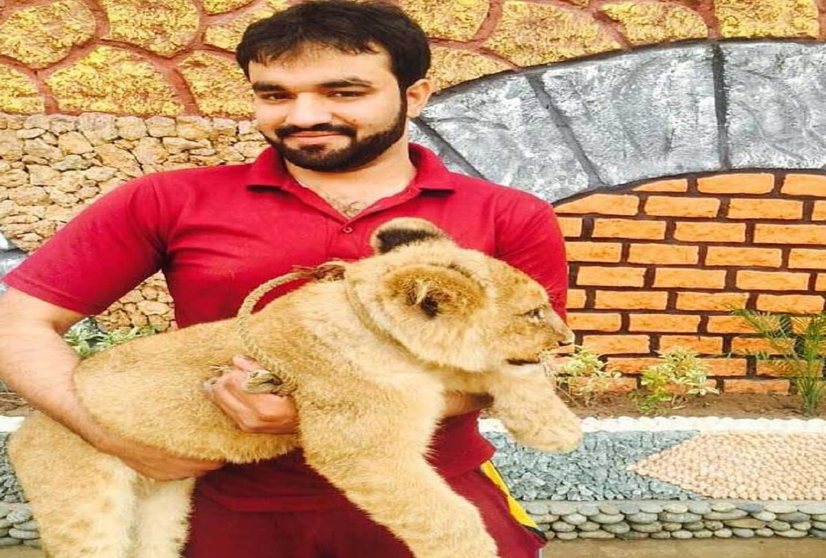 Pakistani man Zulkaif Chaudhary living with a lion in his bedroom