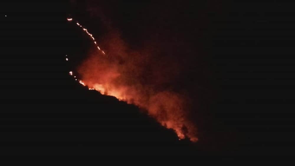 uttarakhand forest big wildfire in photos