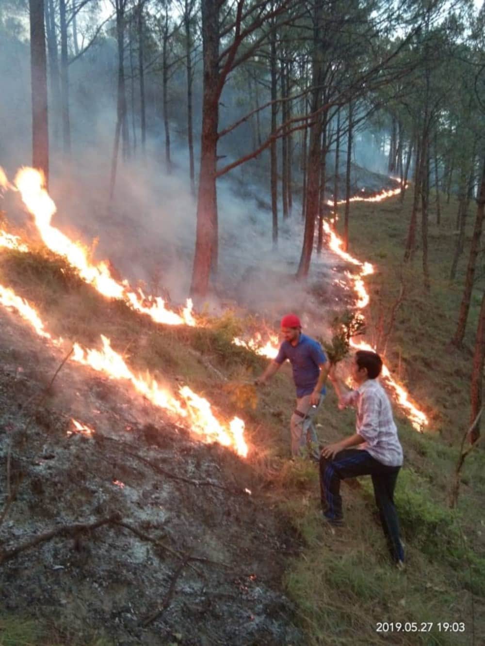 uttarakhand forest big wildfire in photos