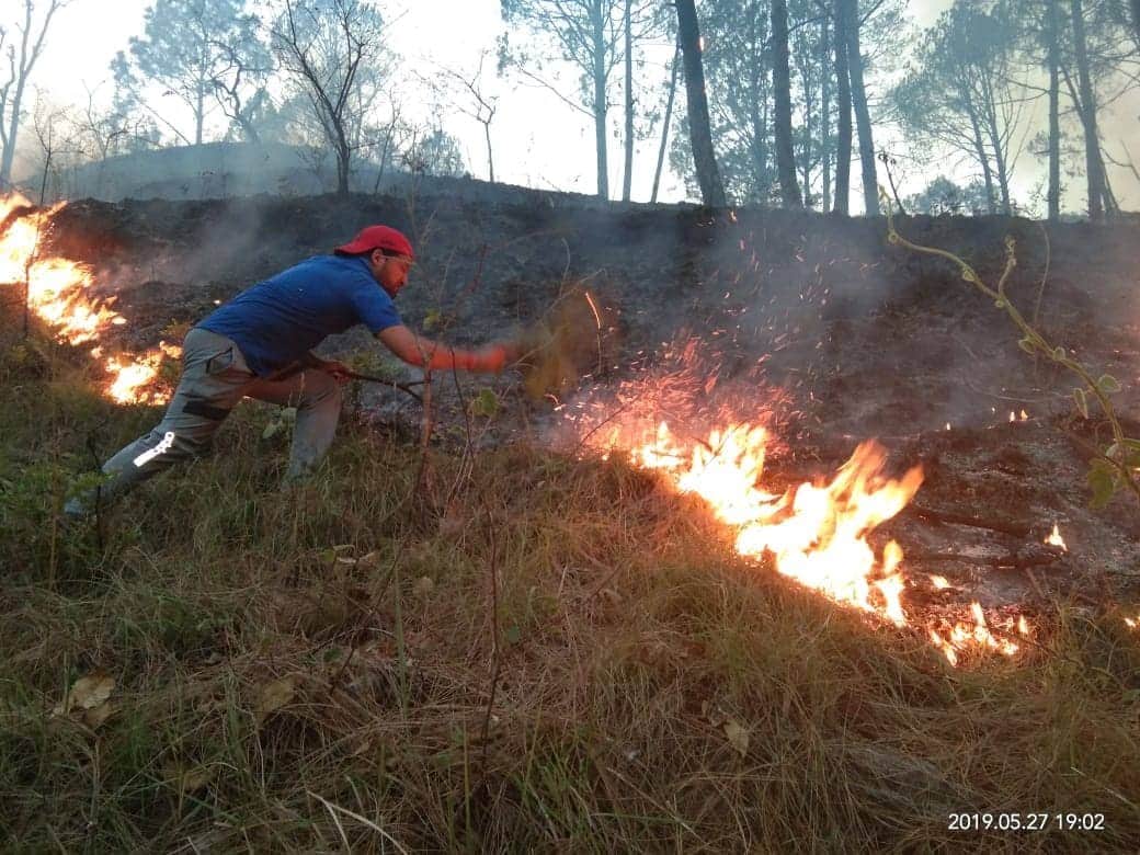uttarakhand forest big wildfire in photos