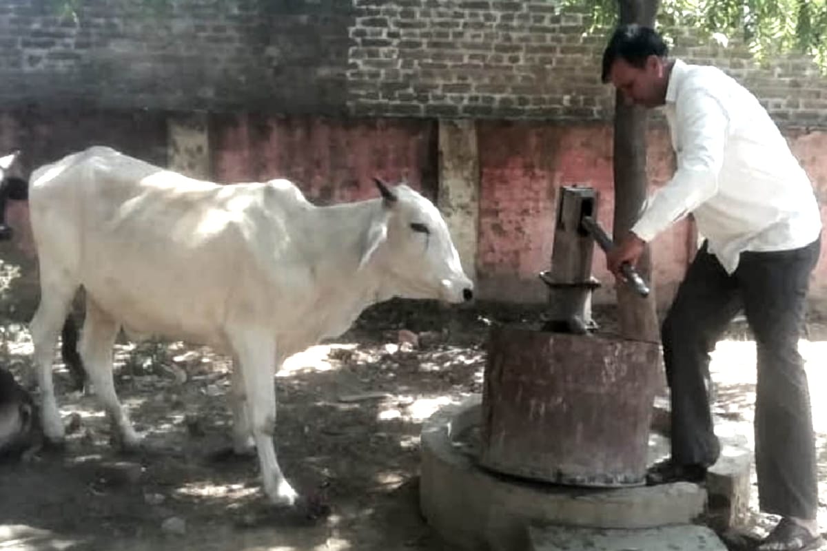 Angry farmers grab animals and tie them in school in Ghazipur