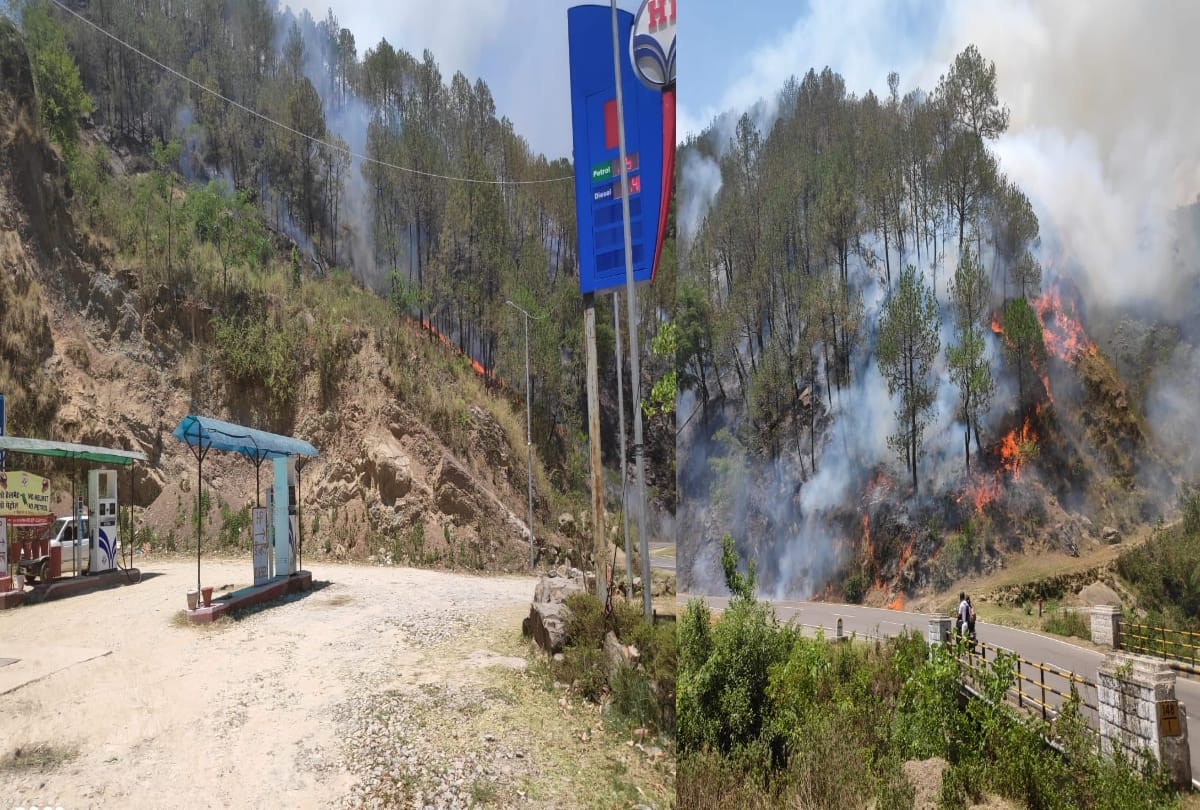 forest fire reported in joginder nagar mandi