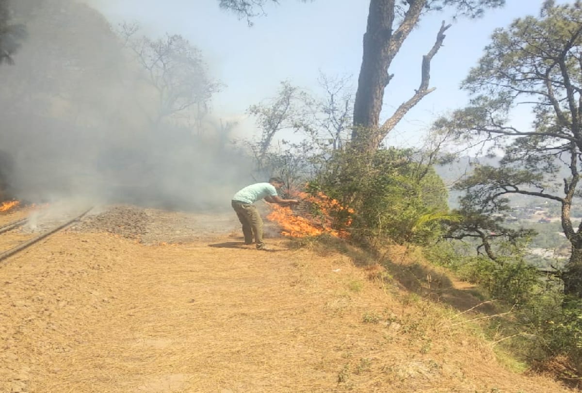 forest fire stopped train on shimla kalka heritage track