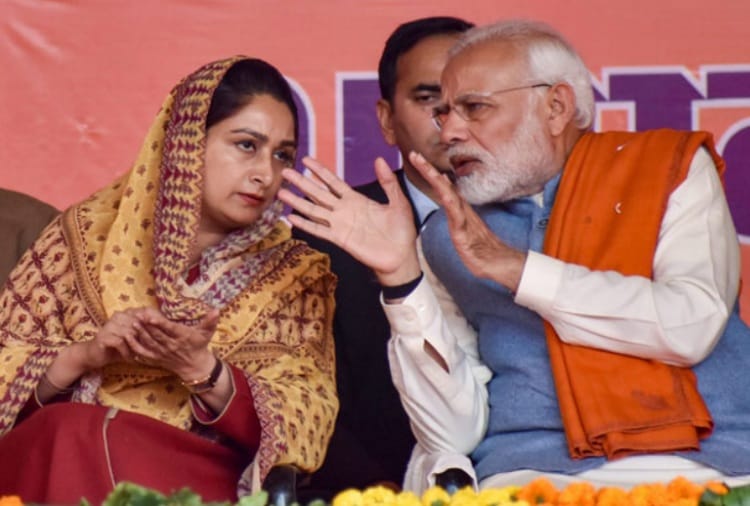 Narendra Modi swearing-in ceremony, harsimrat kaur badal from akali dal in modi team