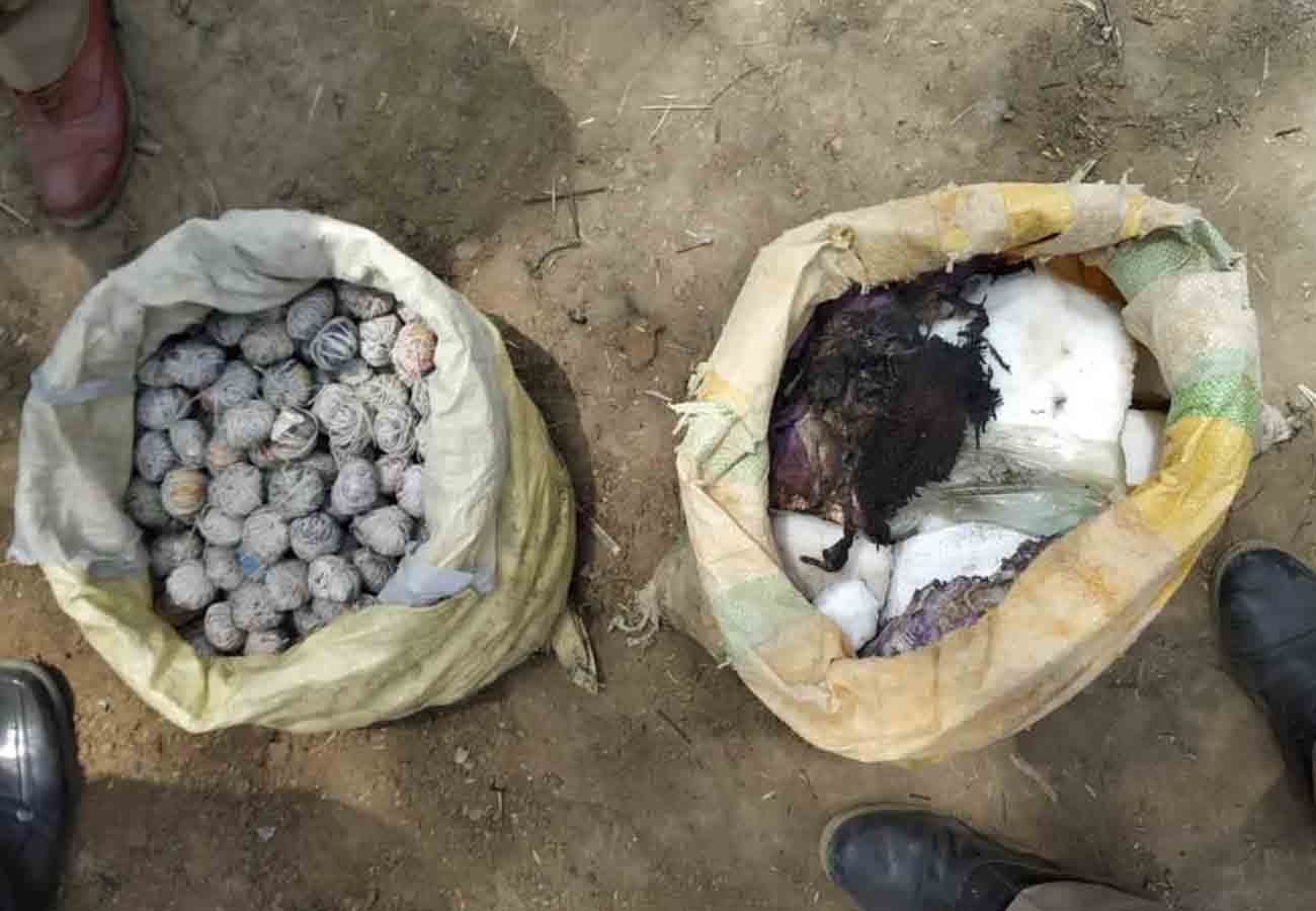 caught fire in a cottage in kannauj