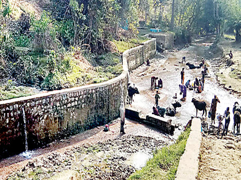 Water source in cane