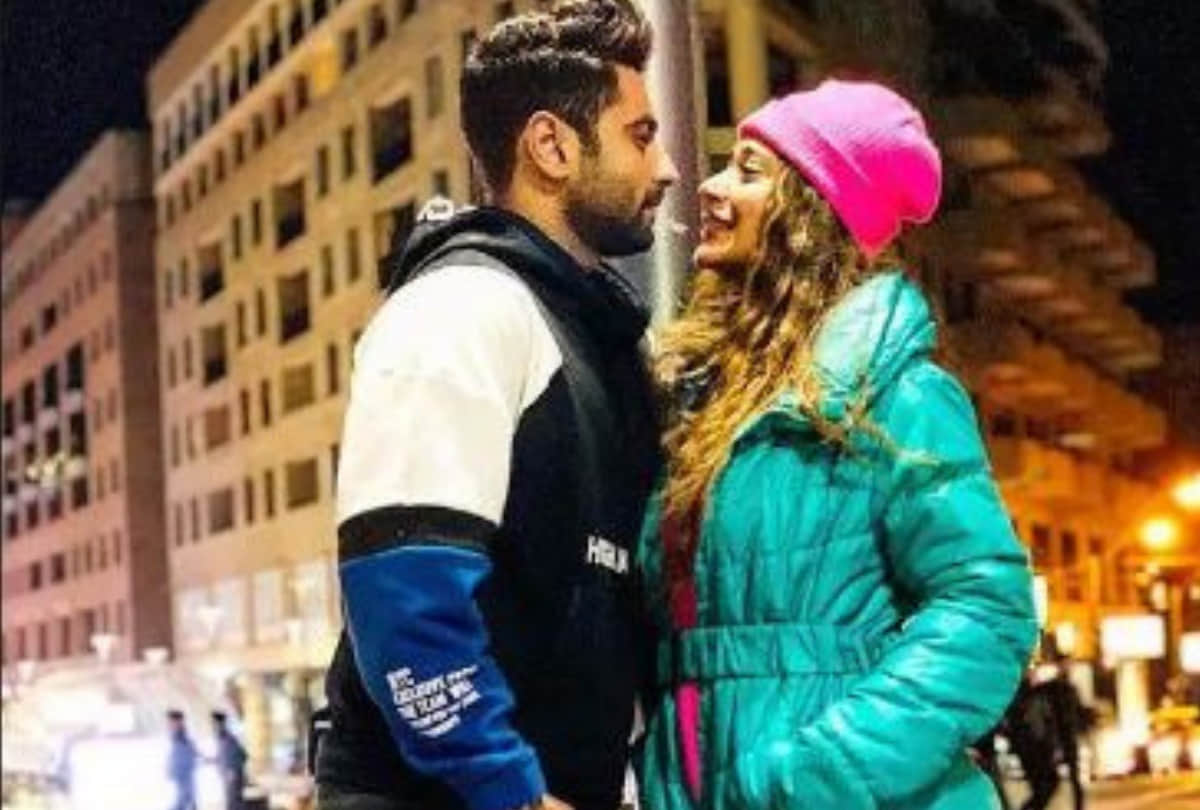 Year Ender 2019 Faisal Khan to Mansi Srivastava 5 Television stars breakup