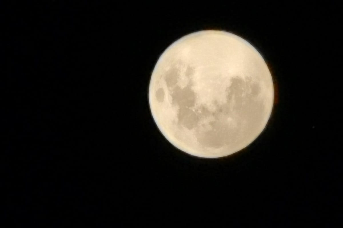 Holi special Moon story in gorakhpur