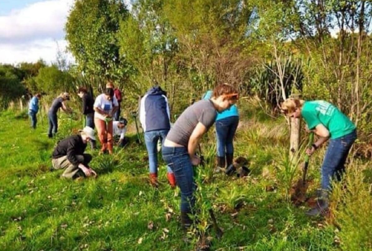 Philippines Government passed a law under every student plant 10 trees to get graduation degree