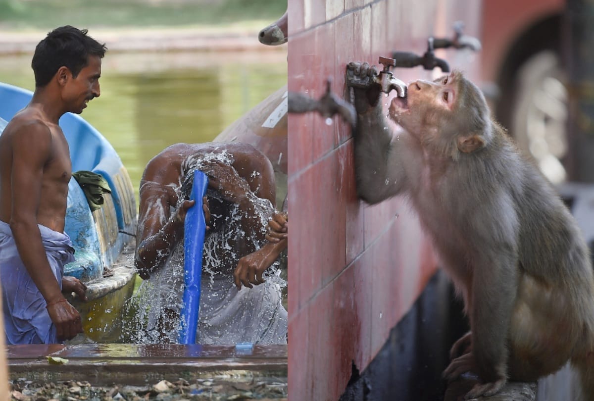 hot summer day in delhi ncr as mercury soars heat wave troubles north india