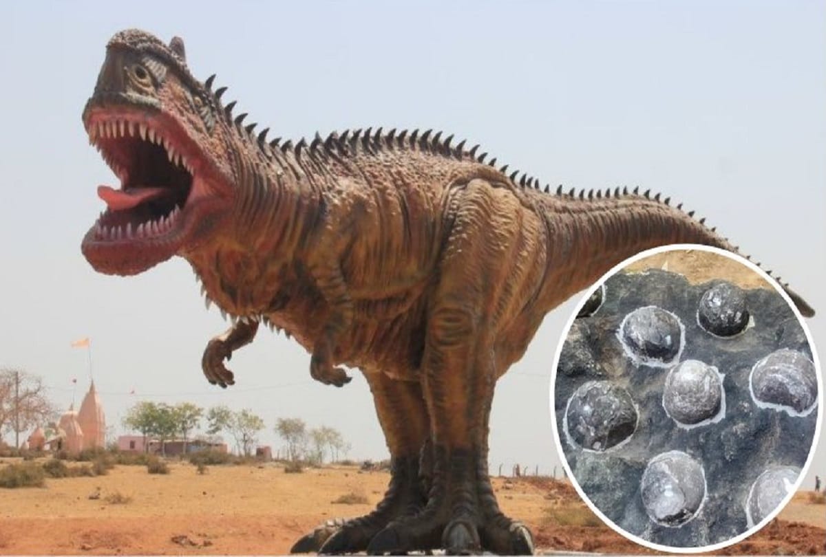 Unique Park Indias first dinosaur park ready to open in balasinor gujarat