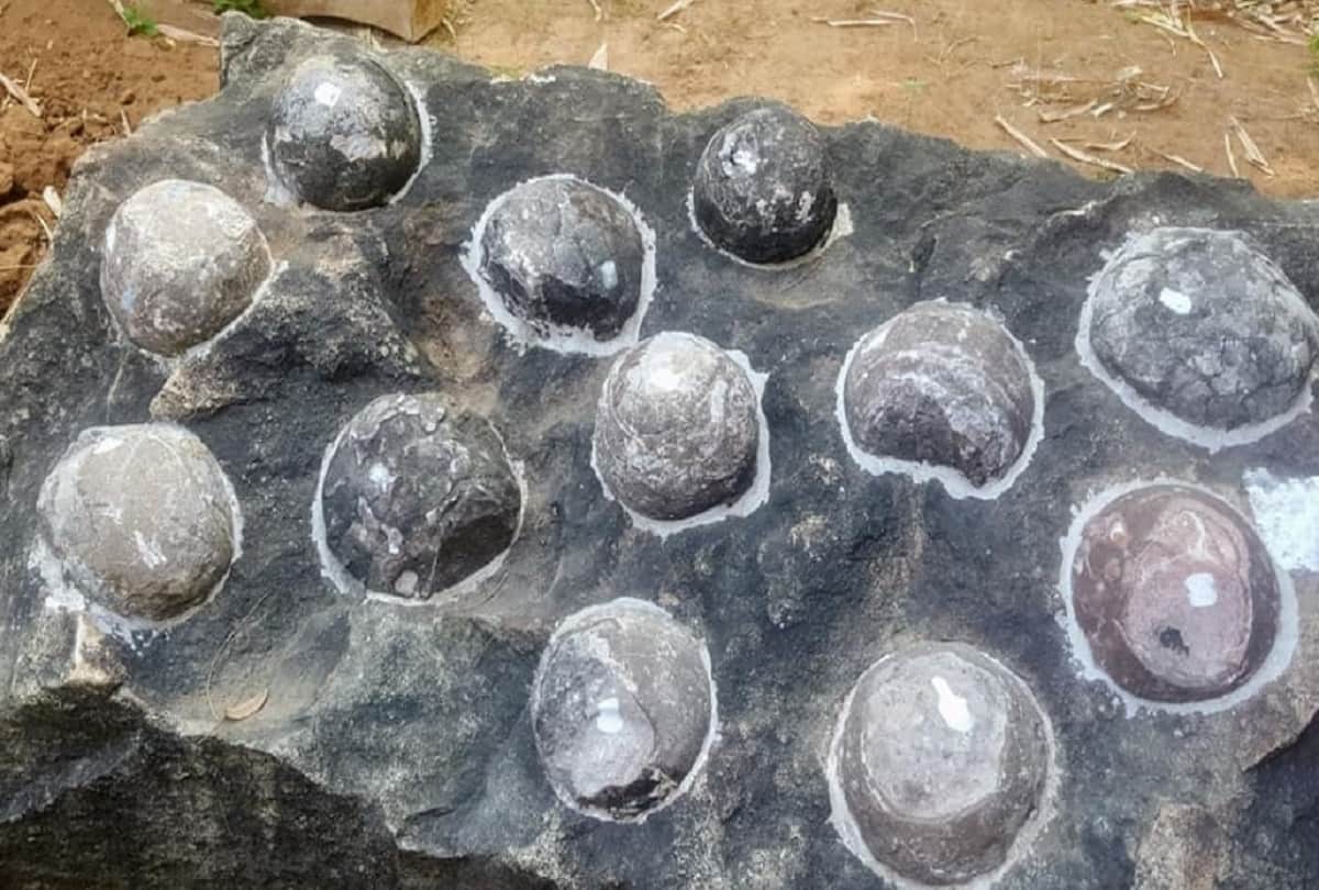 Unique Park Indias first dinosaur park ready to open in balasinor gujarat