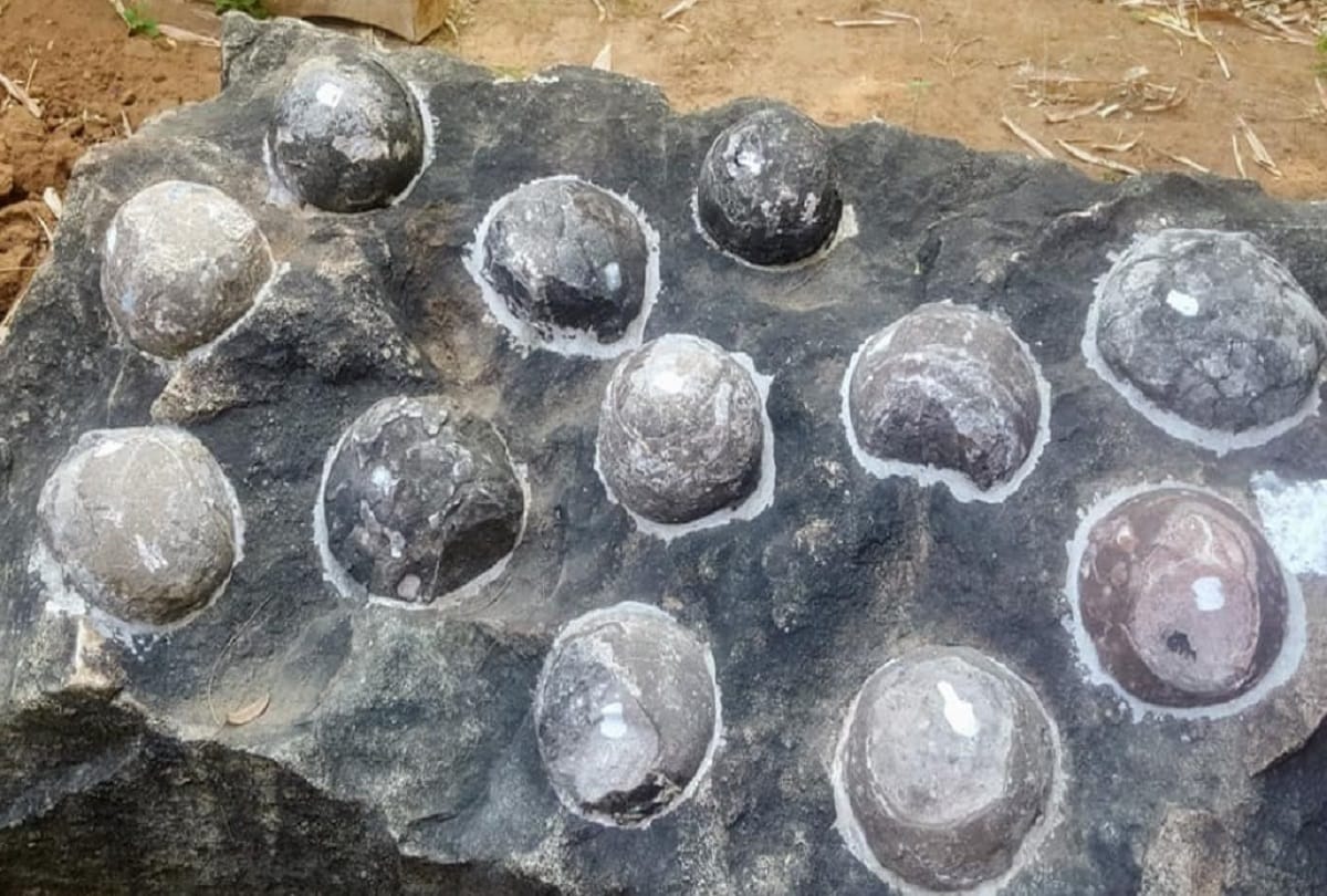 Unique Park Indias first dinosaur park ready to open in balasinor gujarat