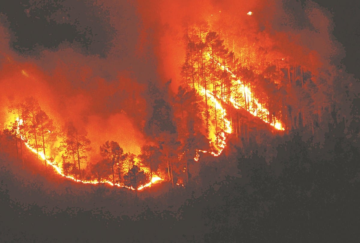 Australia Forest fire thousands trapped on australia beach encircled by fire