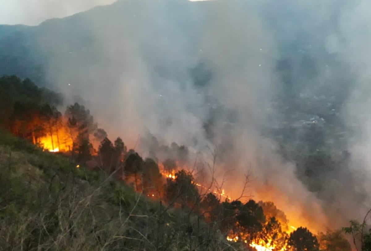 Forest Fire in Arki Solan Himachal Pradesh