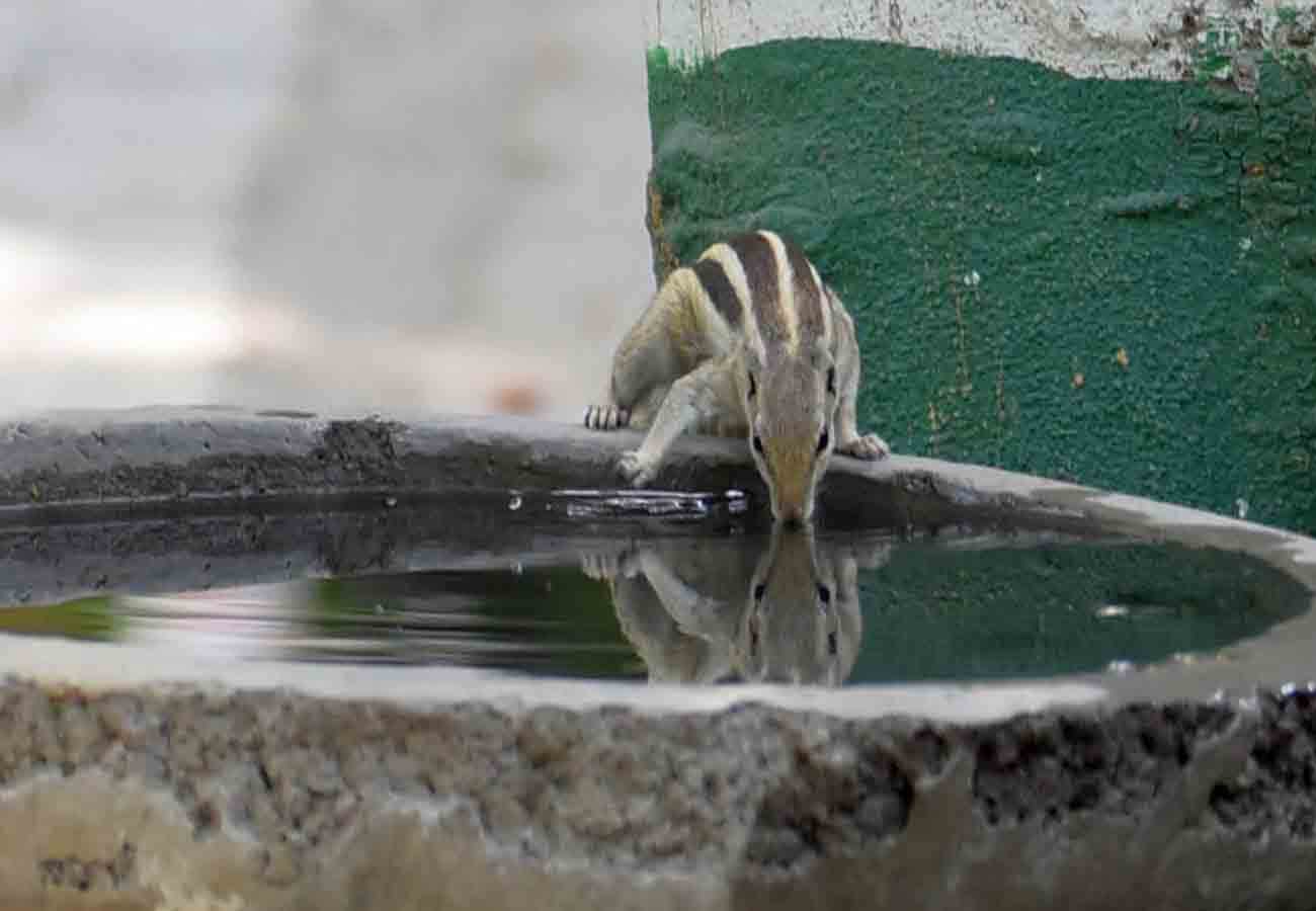 weather latest news, weather department warns in summer season