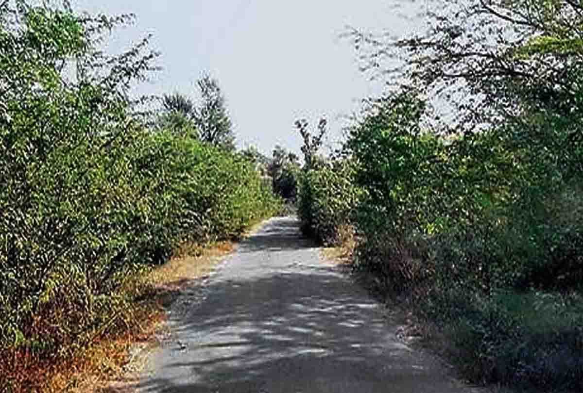 eighty year old girl thrown into the jungle