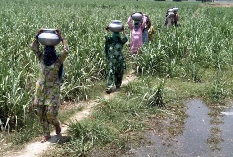 Water crisis in Haryana's Sonipat and Chandigarh